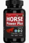 Horse Timing 30 Plus